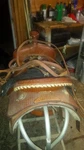 Dakota Roping Saddle. Fixed Price $550.00.