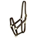 Gatsby Leather Adjustable Turnout Halter W/snap Cob,havana. Fixed Price $52.44.