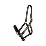 Gatsby Adj Turnout Leather Halter Snap. Fixed Price $42.90.