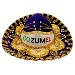 Pigalle Mexico Juniors Size Sombrero Charro Hat Cozumel Souvenir Royal Purple. Fixed Price $23.69.