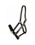 Gatsby Halter Single Buckle Snap Adjustable Chin Leather 401063. Fixed Price $54.99.