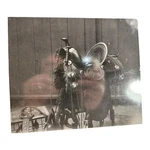 Antique Photograph Of Buffalo Bill's Saddle. Fixed Price $315.00.