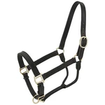 Royal King Leather Stable Halter. Fixed Price $40.70.