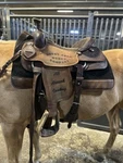 Corriente 16 Roping/all Aound Saddle. Fixed Price $825.00.
